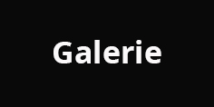 Galerie final